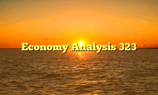 Economy Analysis 323