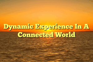 Dynamic Experience In A Connected World