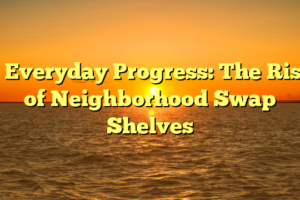 # Everyday Progress: The Rise of Neighborhood Swap Shelves